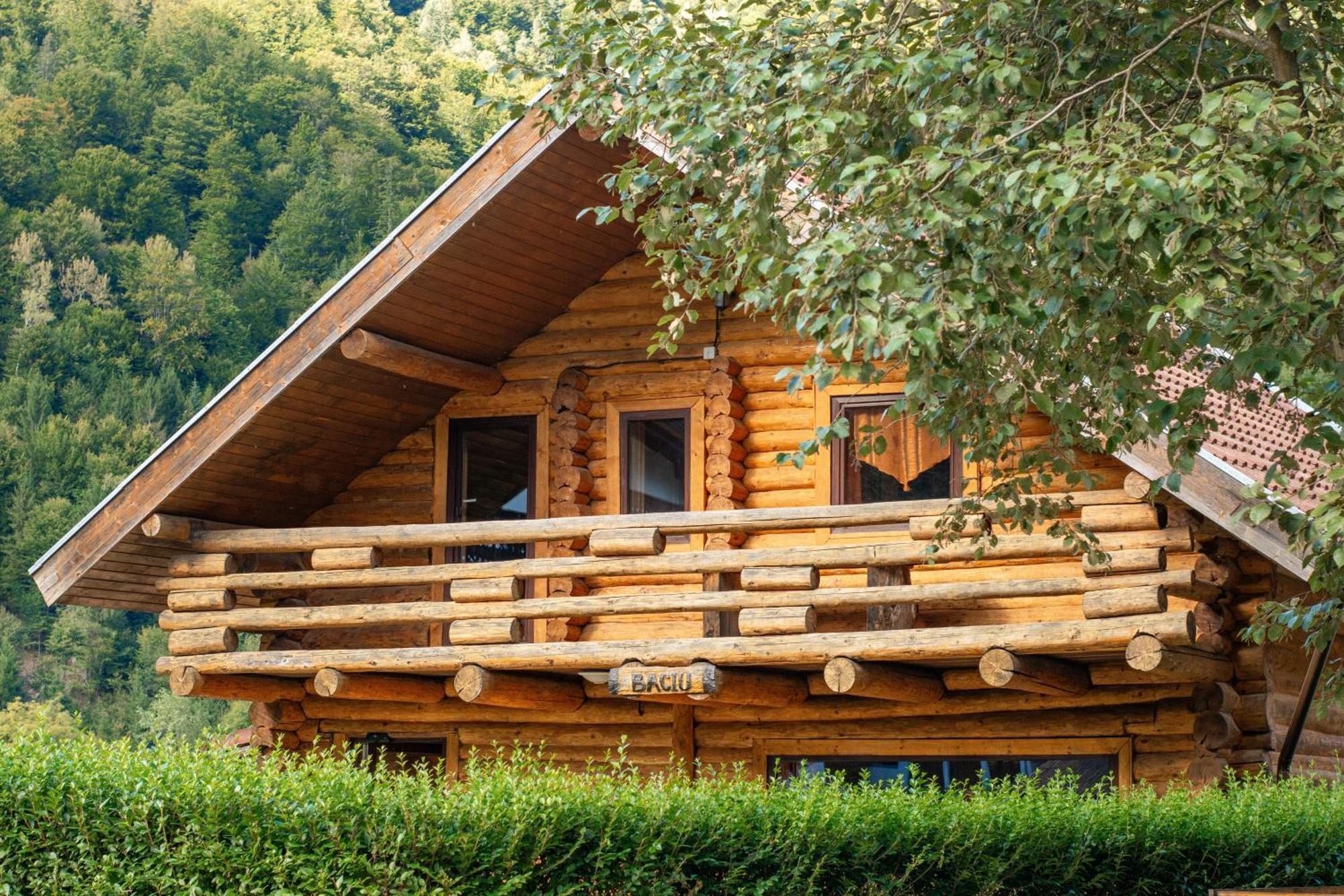 Resort 7 Crai - Cabana Baciu Zărneşti Exteriör bild